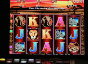 bt365官方体育2024最新版