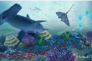 bt365官方体育手机版